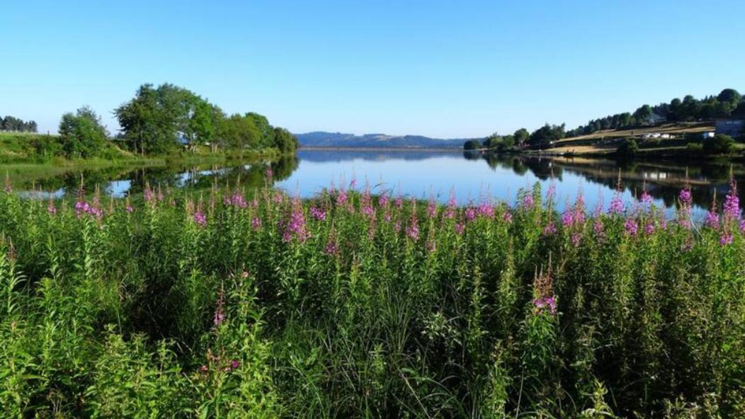 Appartamento Lozere Aubrac Margeride Promo Saint-Alban-sur-Limagnole Esterno foto