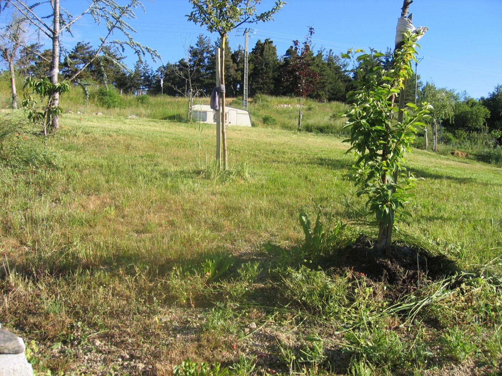 Appartamento Lozere Aubrac Margeride Promo Saint-Alban-sur-Limagnole Esterno foto